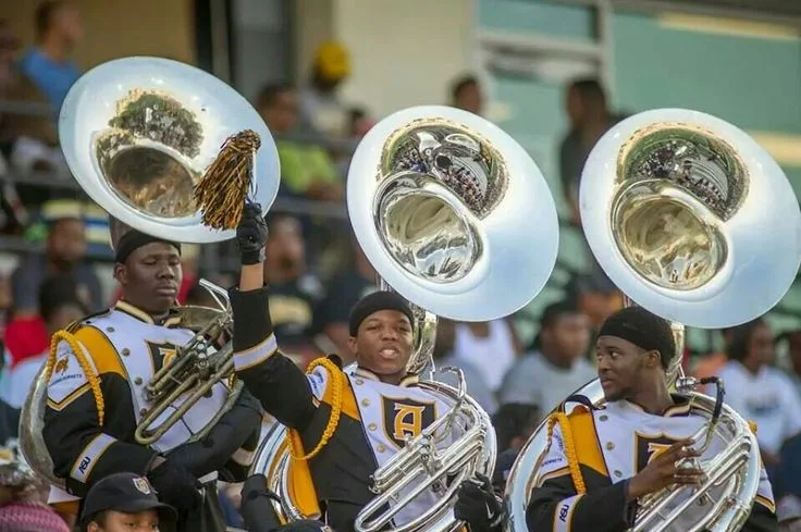 Sousaphone players in Mighty Marching Hornets uniforms play in the stands, one raising a gold pom-pom